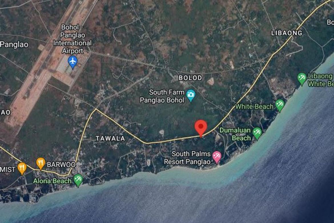 Land for Sale in Tawala, Panglao, Bohol – photo 4