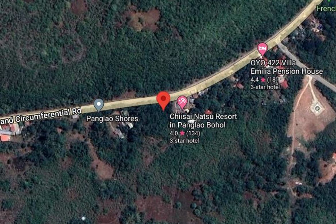 Land for Sale in Tawala, Panglao, Bohol – photo 5