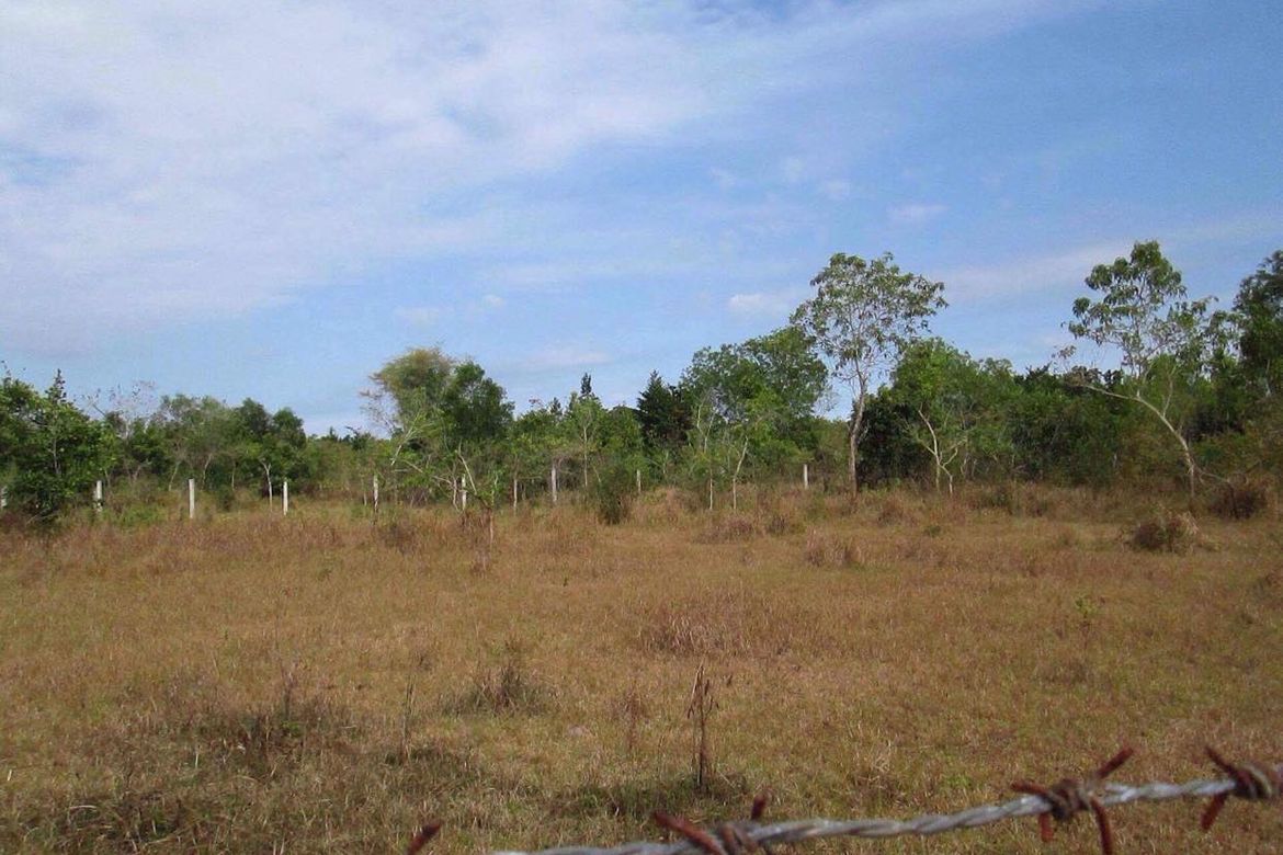Land for Sale in Tawala, Panglao, Bohol – photo 2