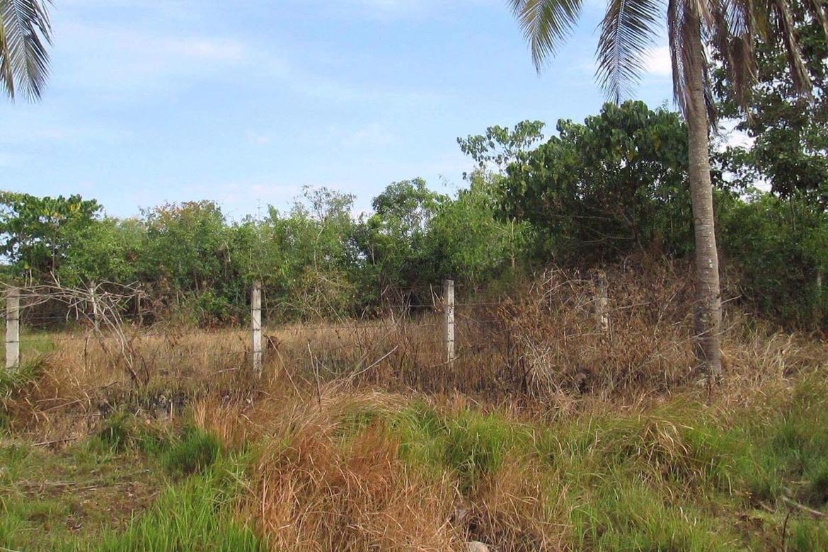 Land for Sale in Tawala, Panglao, Bohol – photo 5