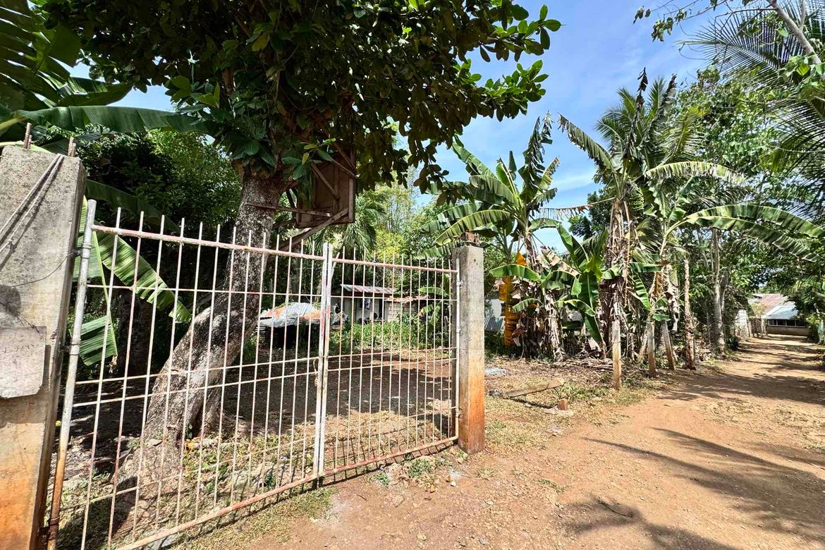 Land for Sale in Tawala, Panglao, Bohol