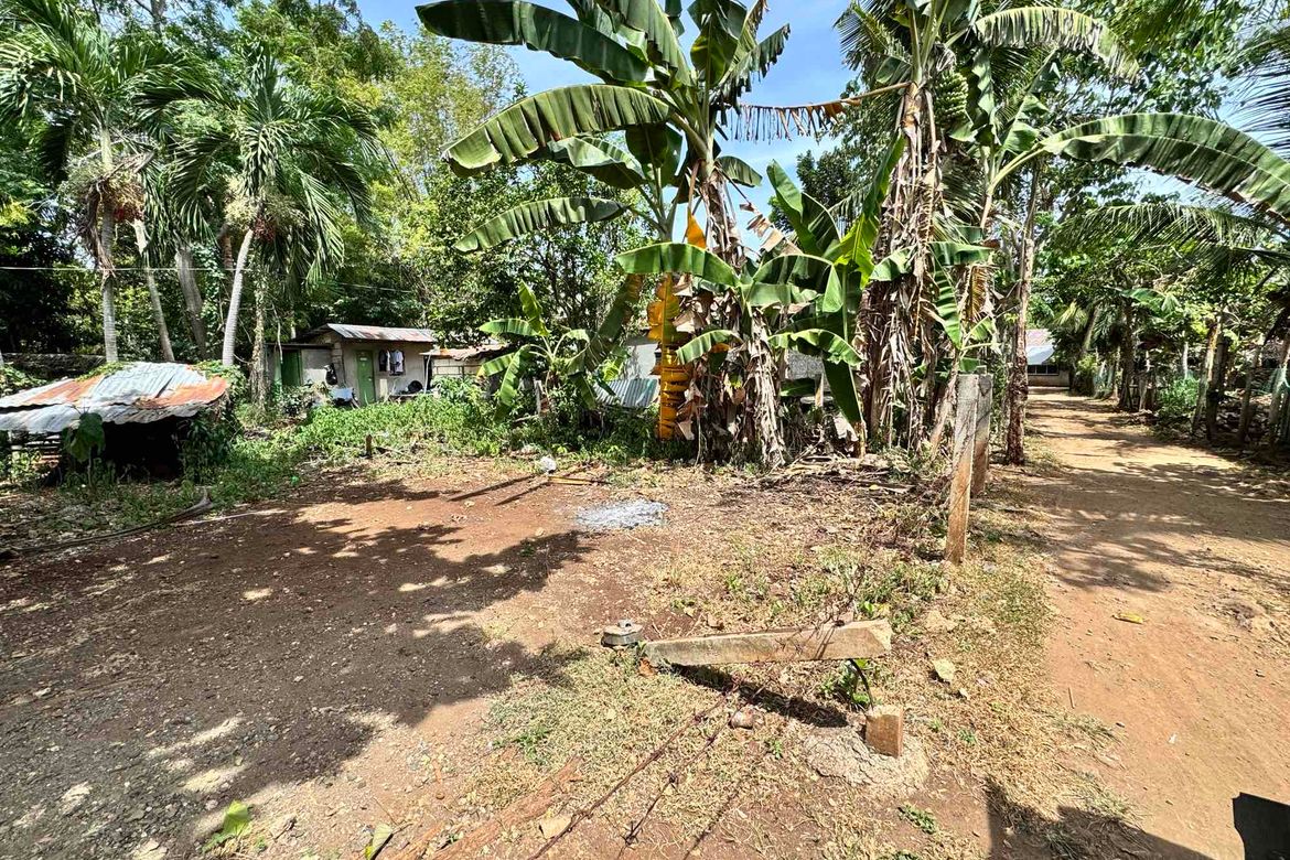 Land for Sale in Tawala, Panglao, Bohol – photo 2