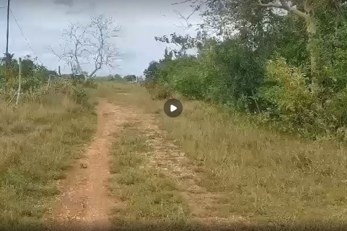 Land for Sale in Tawala, Panglao, Bohol – photo 2