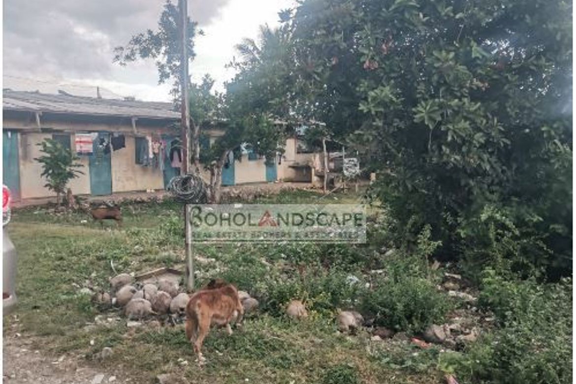 Land for Sale in Tawala, Panglao, Bohol – photo 3