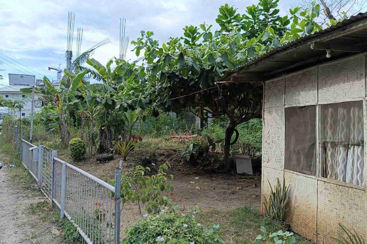 Land for Sale in Tawala, Panglao, Bohol – photo 3