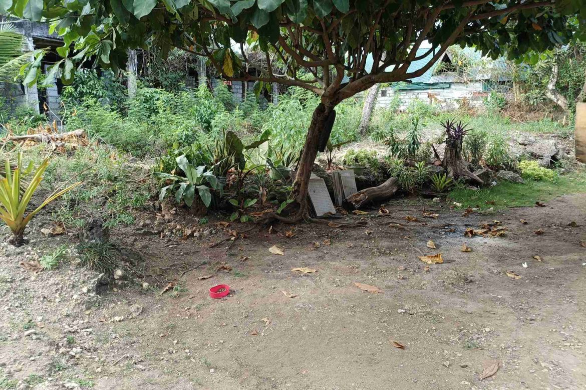 Land for Sale in Tawala, Panglao, Bohol – photo 4