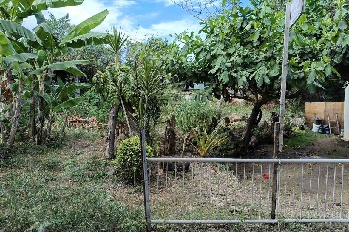 Land for Sale in Tawala, Panglao, Bohol – photo 6