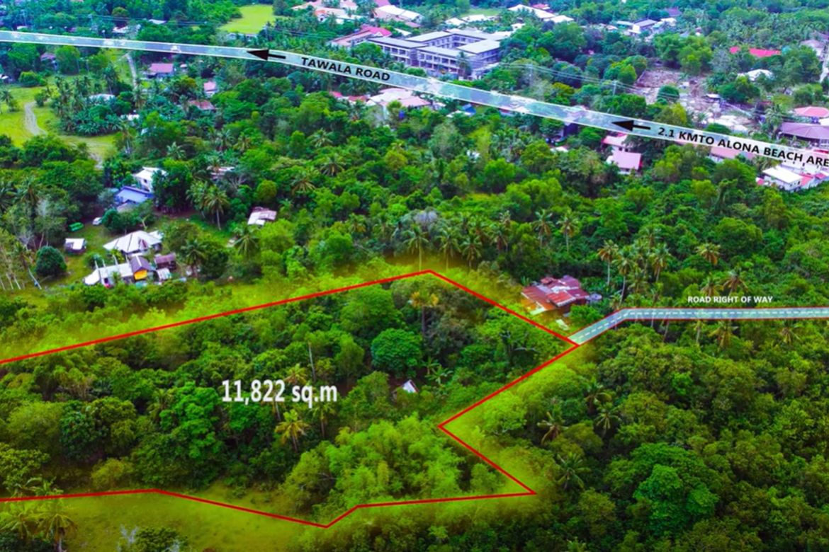 Land for Sale in Tawala, Panglao, Bohol
