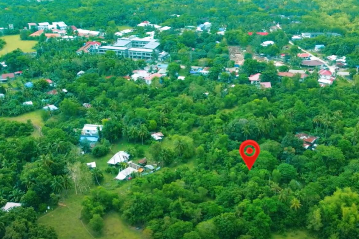 Land for Sale in Tawala, Panglao, Bohol – photo 2