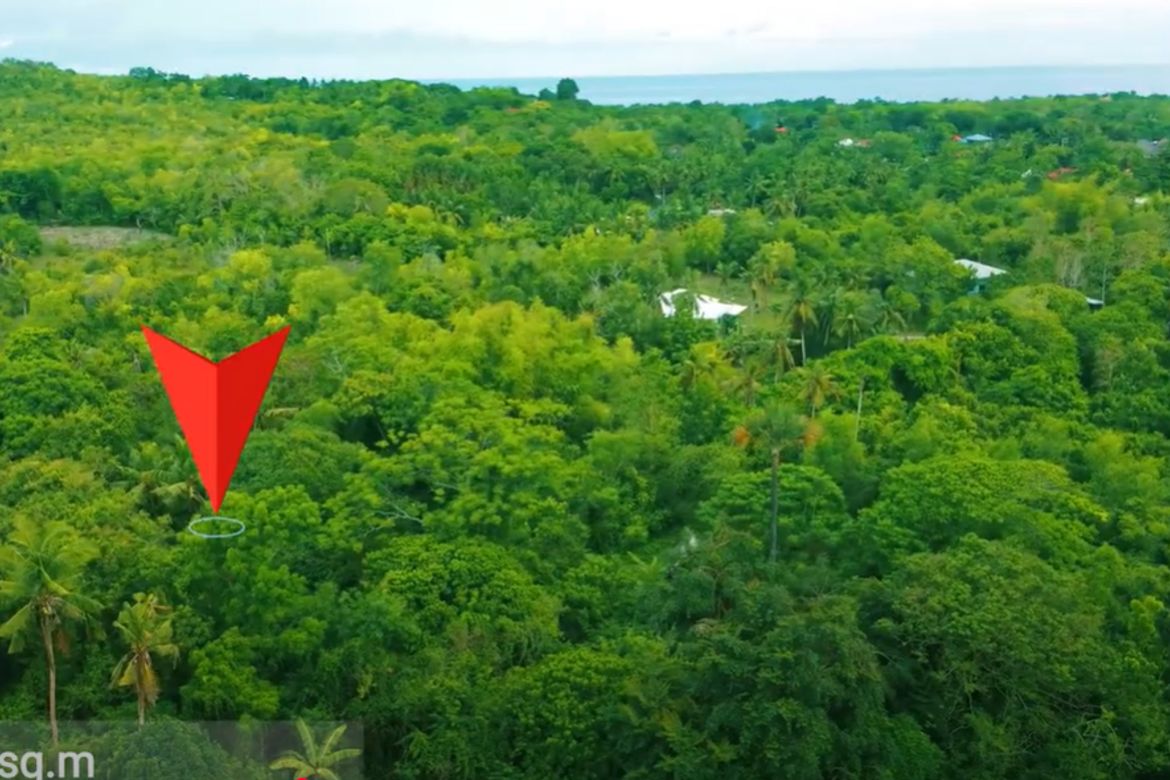 Land for Sale in Tawala, Panglao, Bohol – photo 3