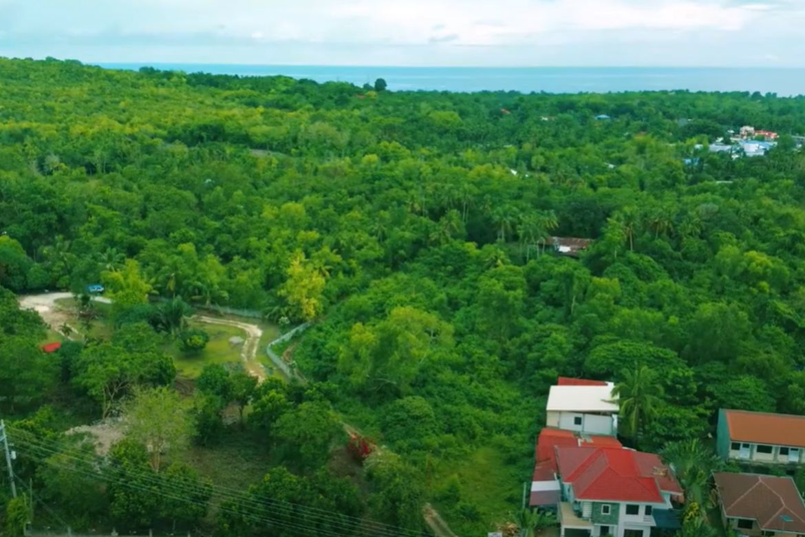 Land for Sale in Tawala, Panglao, Bohol – photo 5