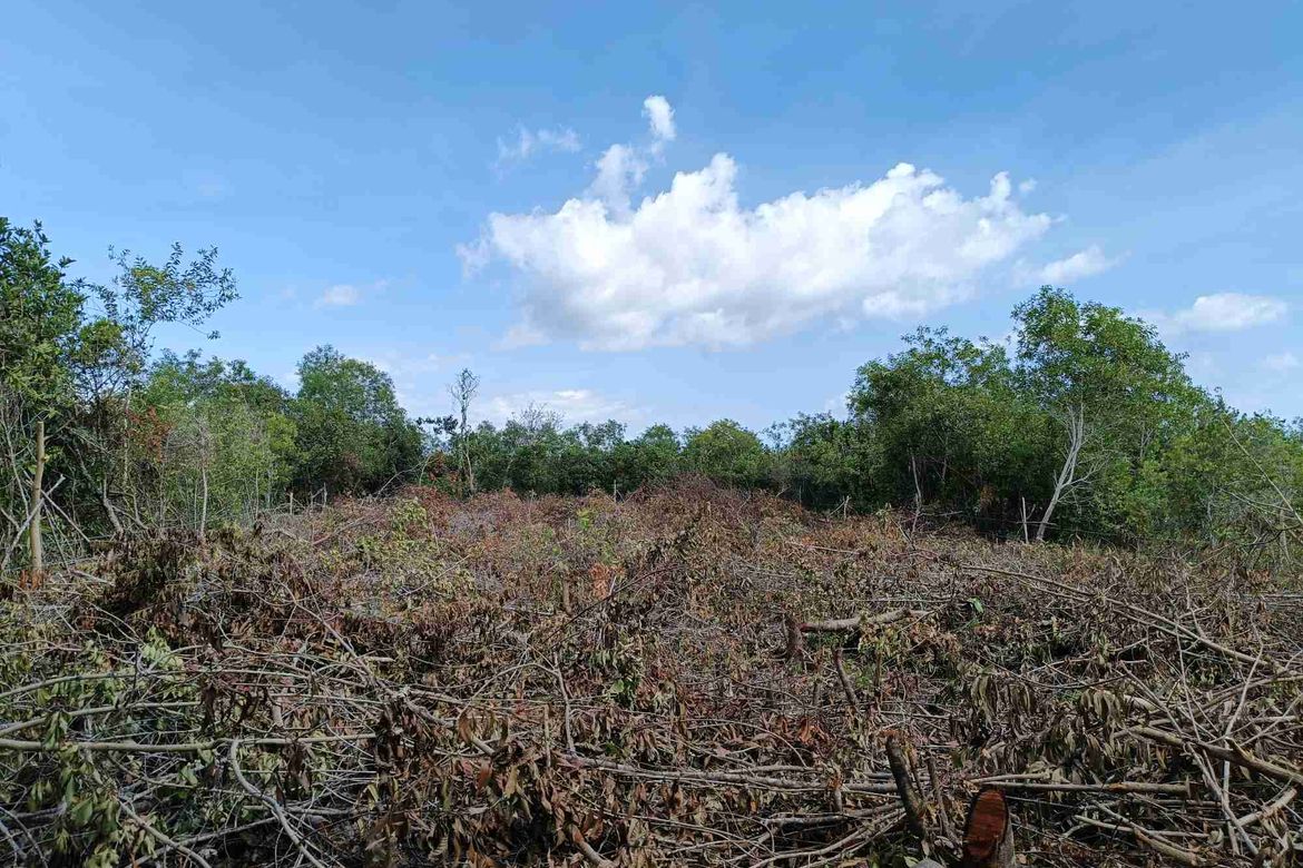 Land for Sale in Tawala, Panglao, Bohol – photo 2