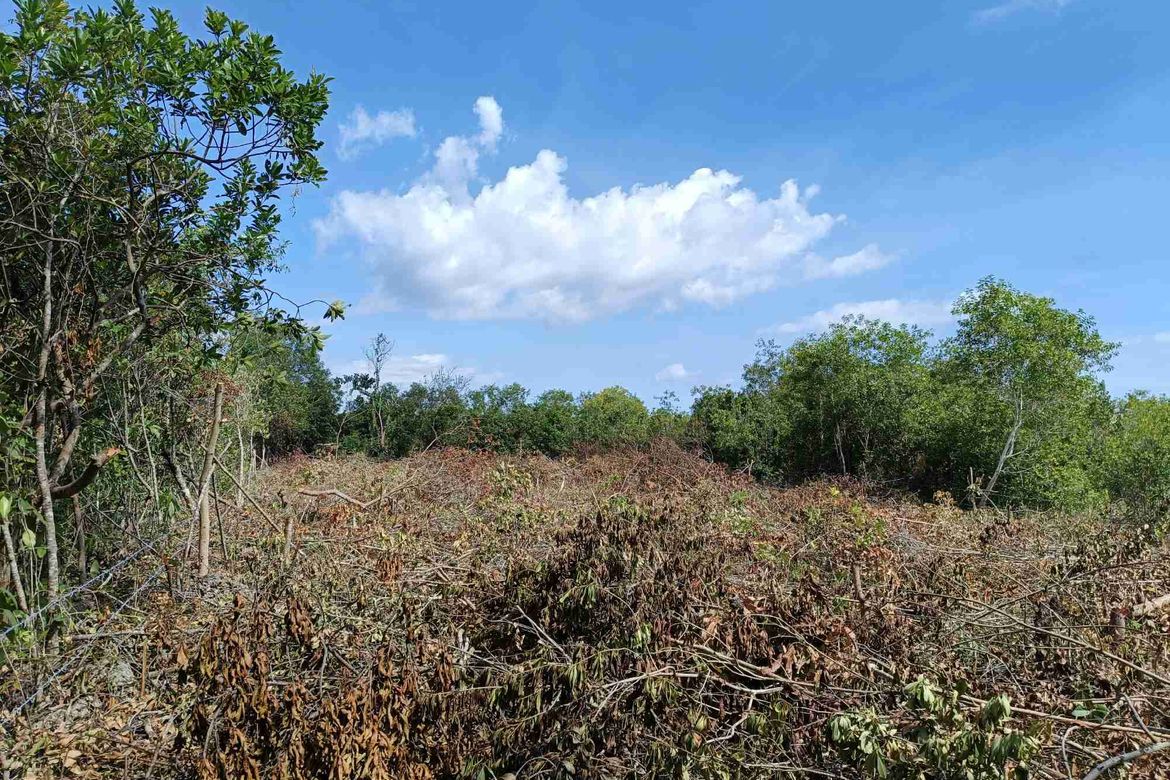 Land for Sale in Tawala, Panglao, Bohol – photo 4