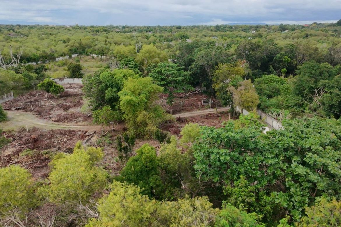 Land for Sale in Tawala, Panglao, Bohol – photo 8