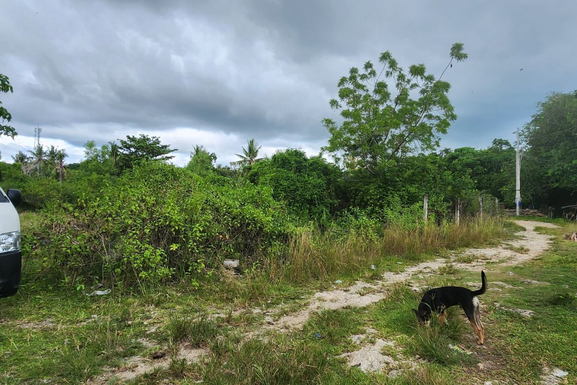 Land for Sale in Tawala, Panglao, Bohol – photo 4