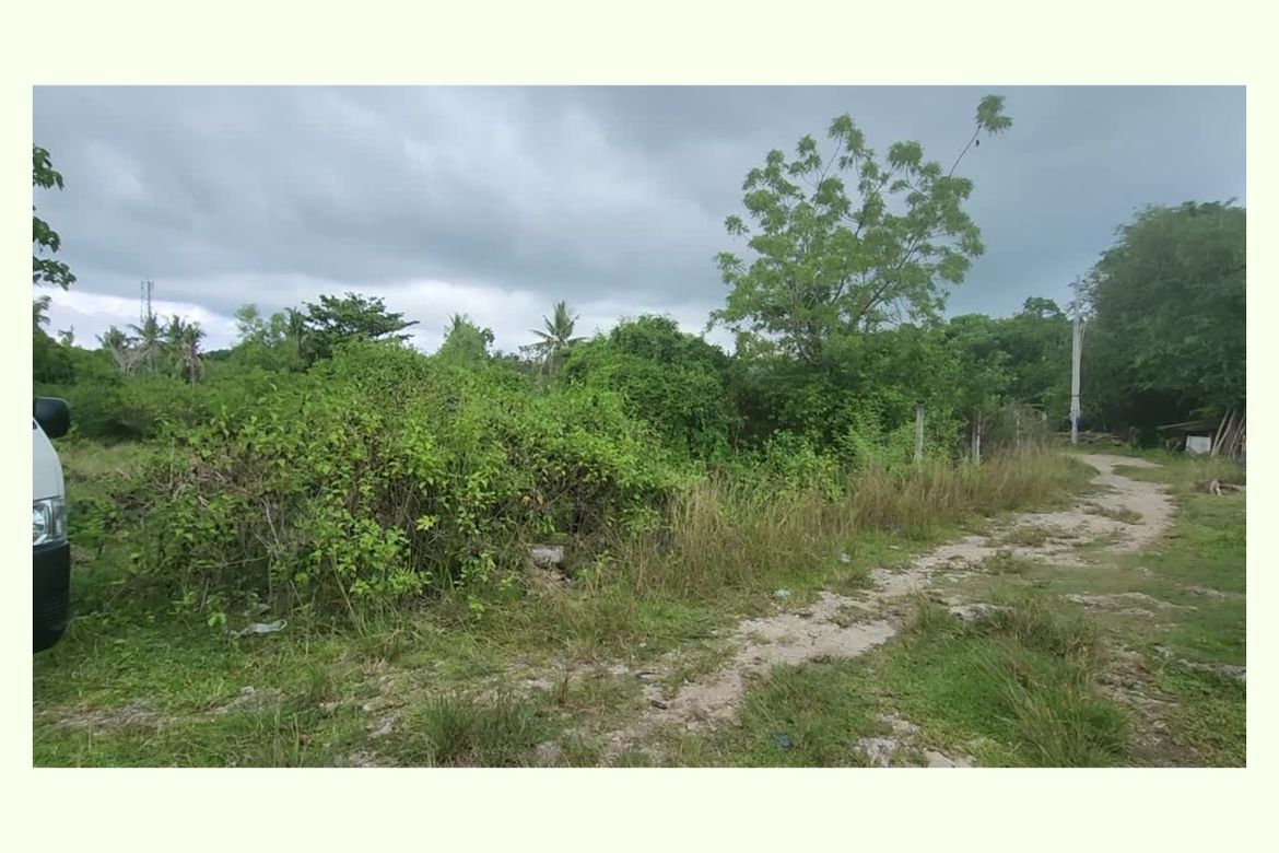 Land for Sale in Tawala, Panglao, Bohol – photo 6