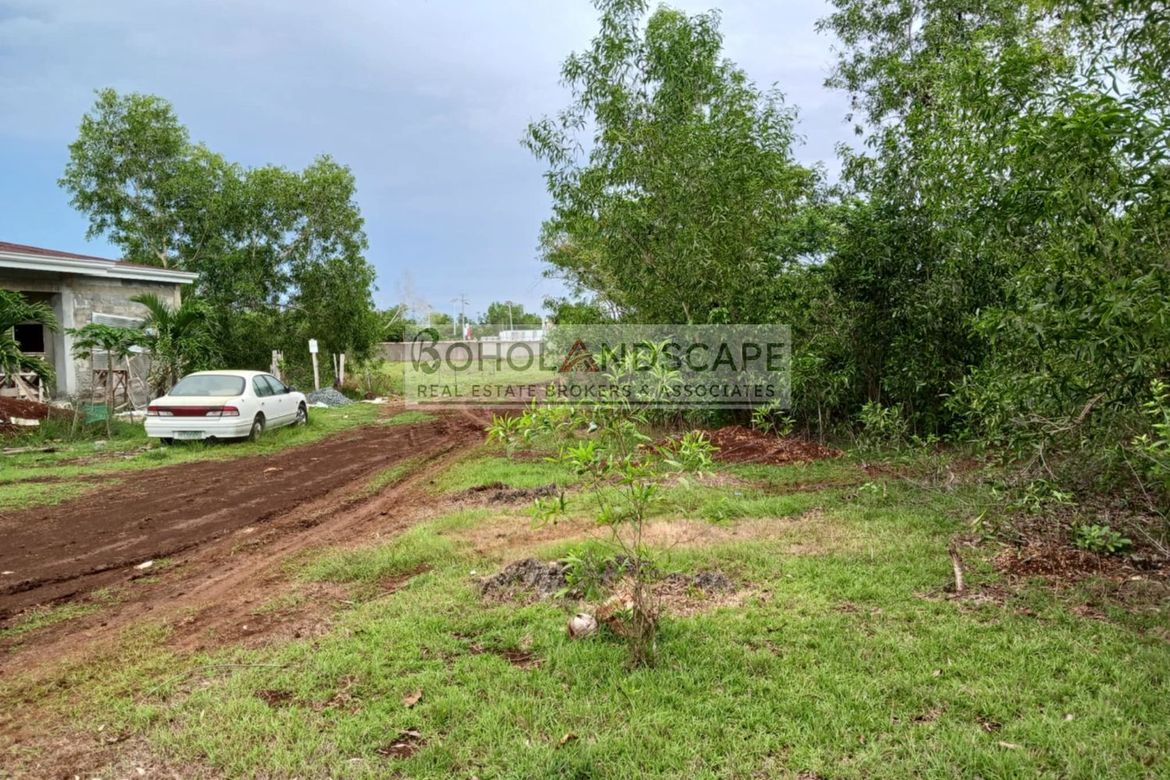 Land for Sale in Tawala, Panglao, Bohol – photo 2
