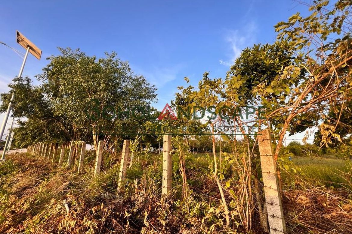 Land for Sale in Tawala, Panglao, Bohol – photo 2