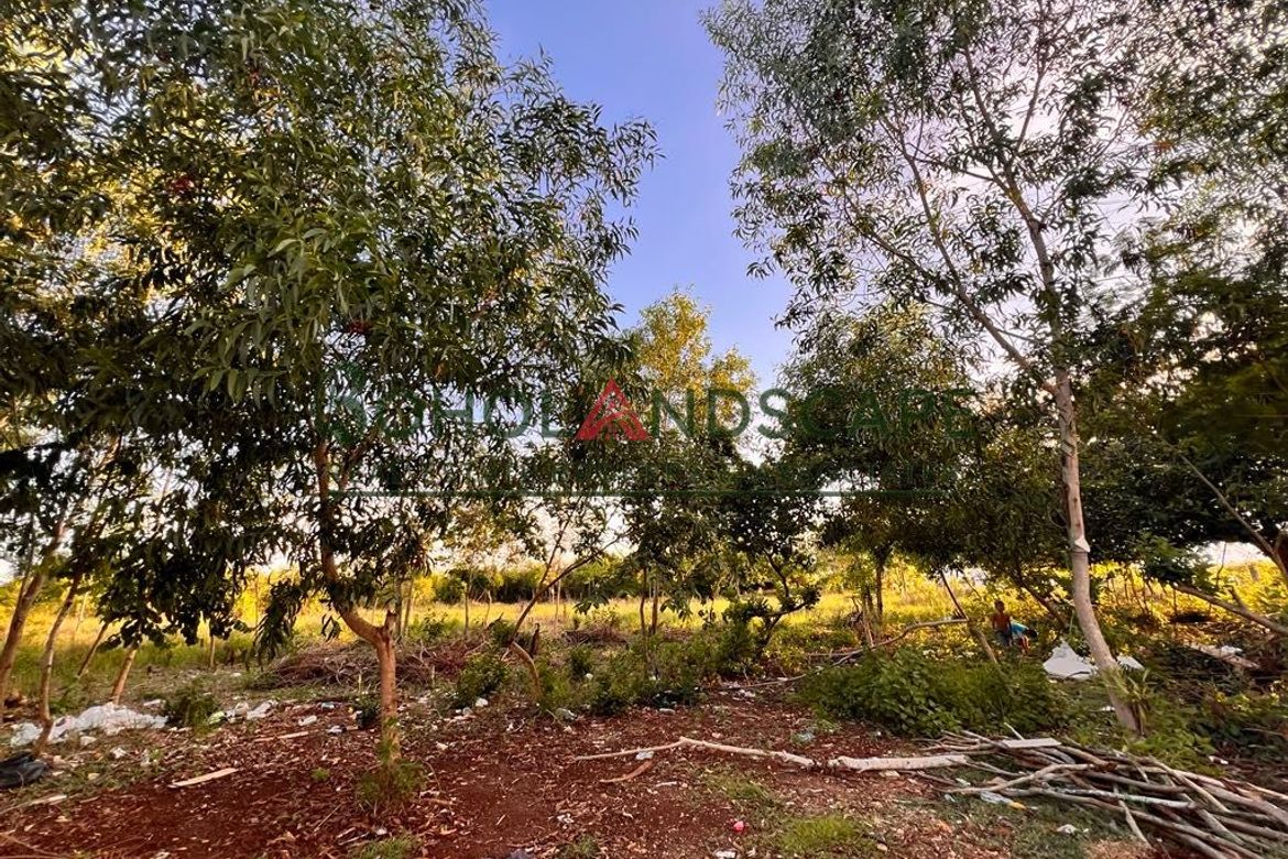 Land for Sale in Tawala, Panglao, Bohol – photo 5