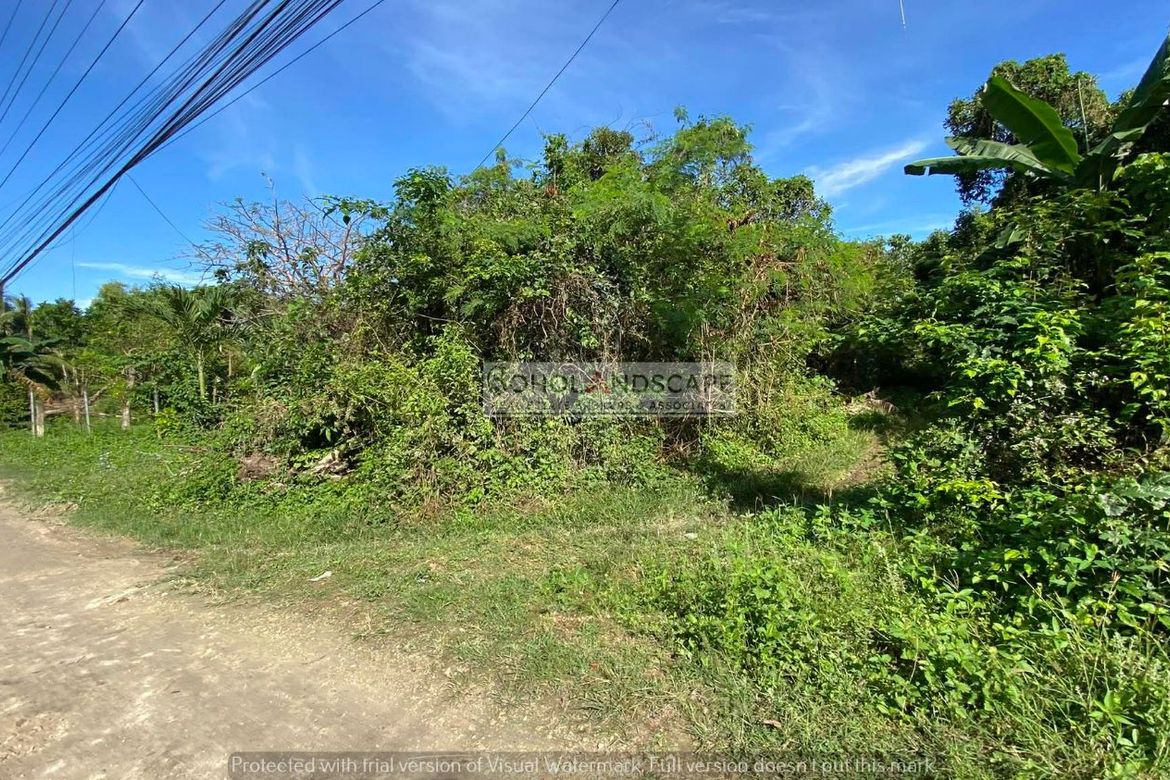 Land for Sale in Tawala, Panglao, Bohol – photo 2