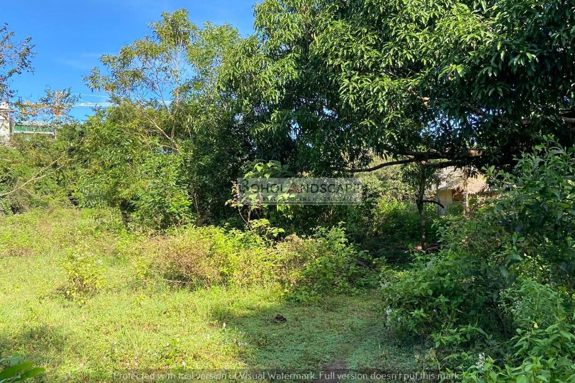 Land for Sale in Tawala, Panglao, Bohol – photo 6