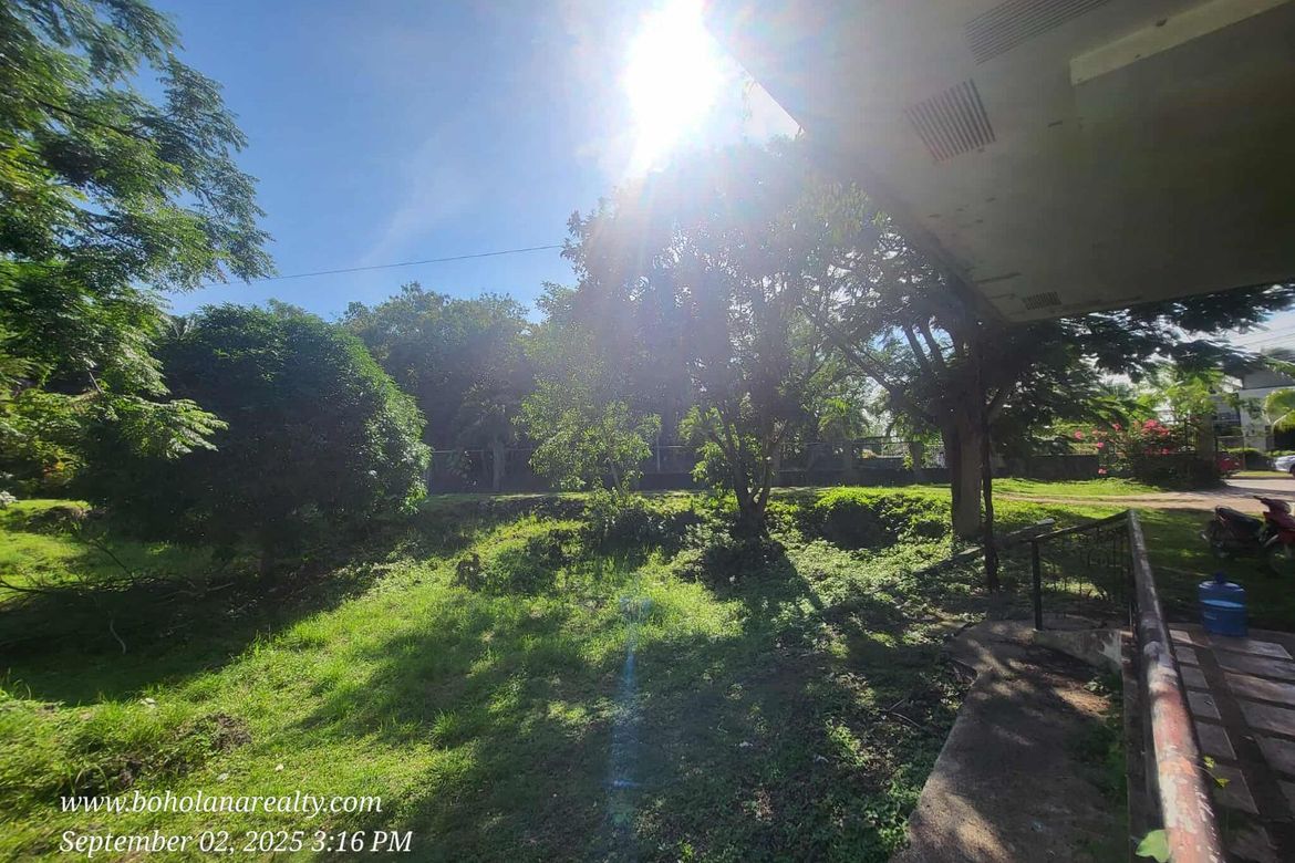 Land for Sale in Tawala, Panglao, Bohol – photo 2