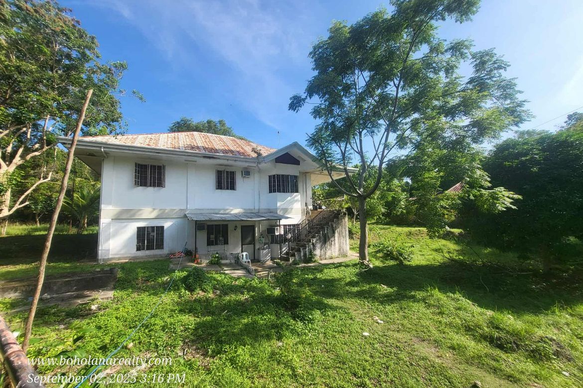 Land for Sale in Tawala, Panglao, Bohol – photo 4