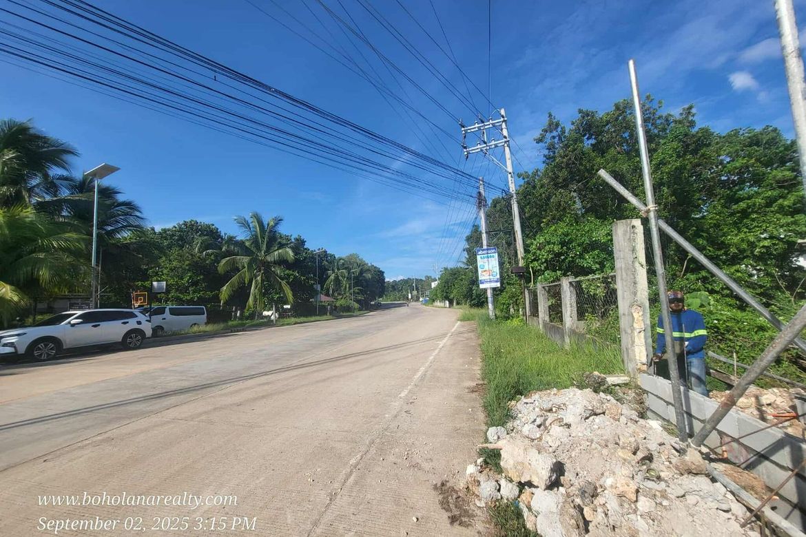 Land for Sale in Tawala, Panglao, Bohol – photo 5