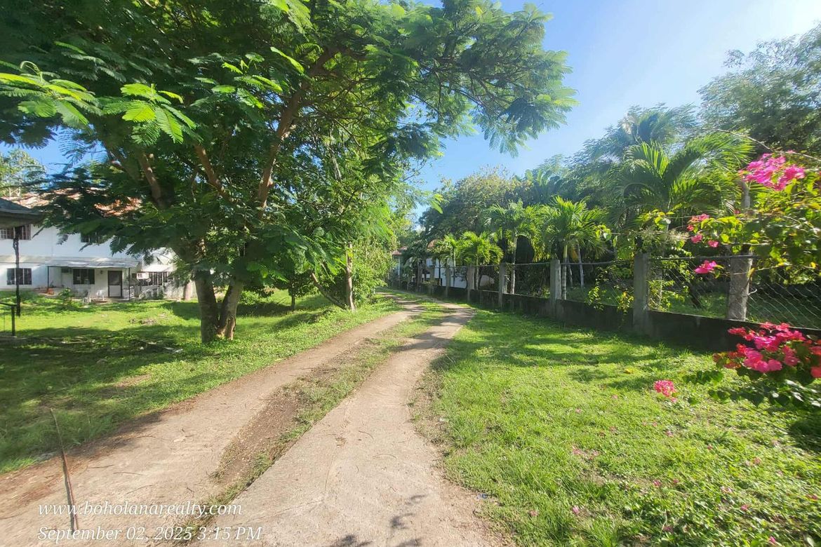 Land for Sale in Tawala, Panglao, Bohol – photo 8