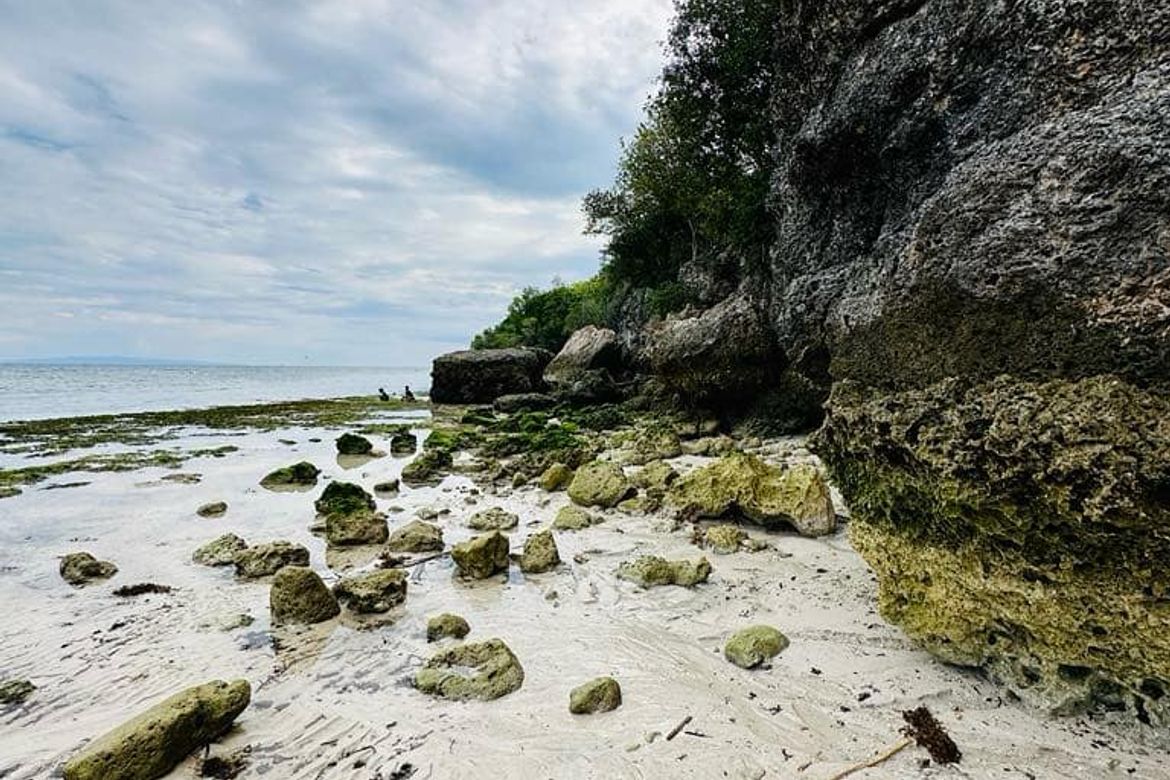 Land for Sale in Tawala, Panglao, Bohol – photo 2