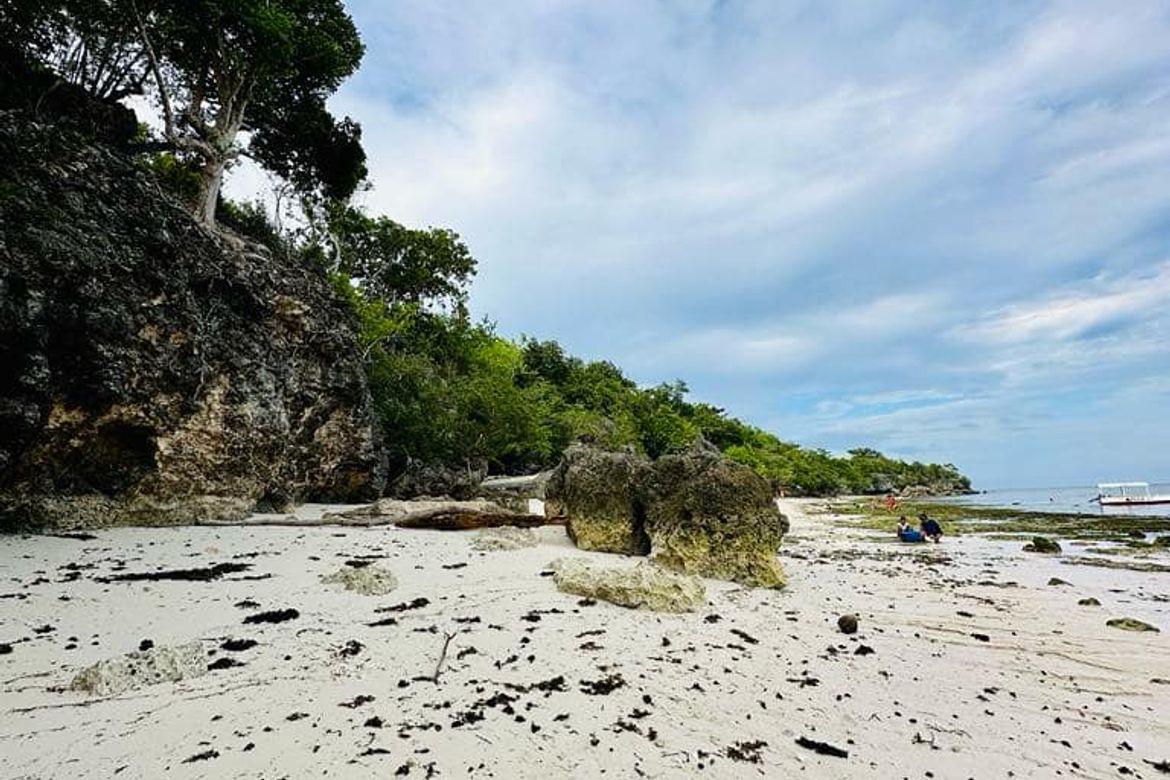Land for Sale in Tawala, Panglao, Bohol – photo 3