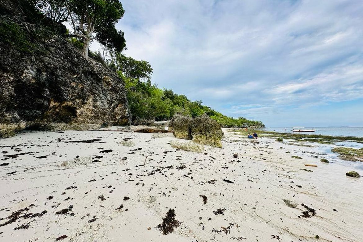 Land for Sale in Tawala, Panglao, Bohol – photo 7