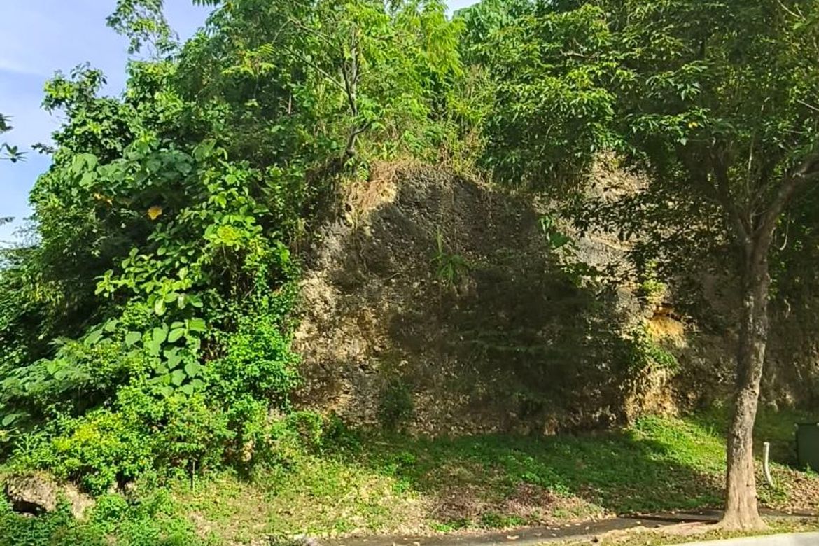 Land for Sale in Tawason, Mandaue, Cebu – photo 3
