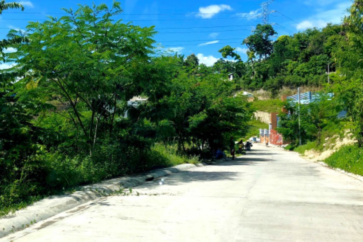 Land for Sale in Tawason, Mandaue, Cebu – photo 2