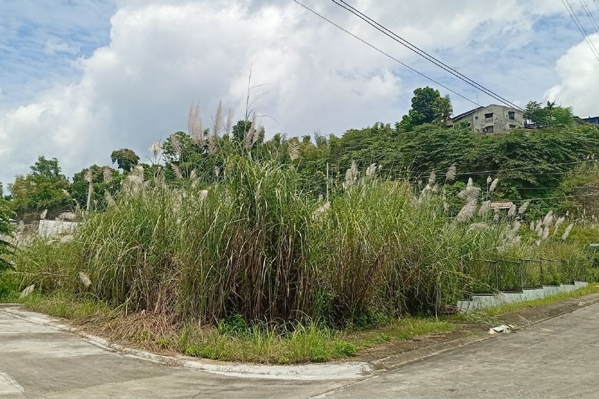 Land for Sale in Tawason, Mandaue, Cebu – photo 3