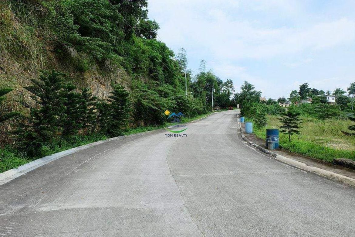 Land for Sale in Tawason, Mandaue, Cebu – photo 5