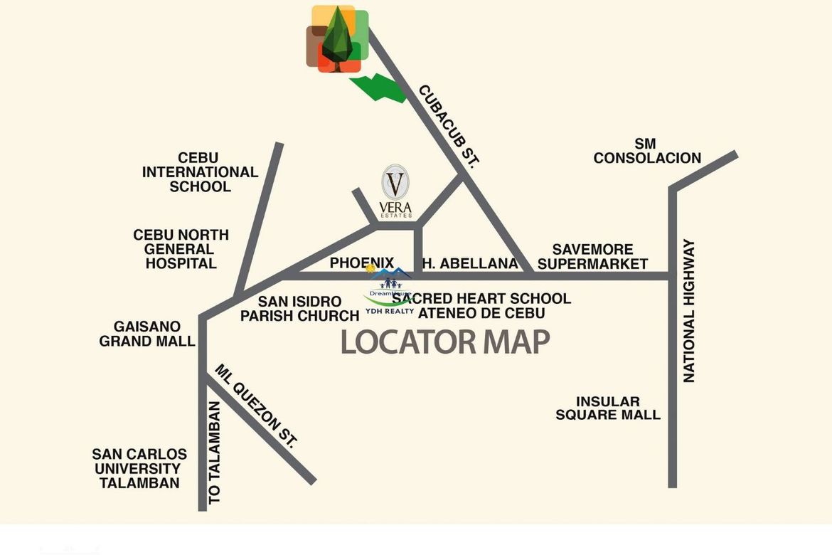Land for Sale in Tawason, Mandaue, Cebu – photo 6