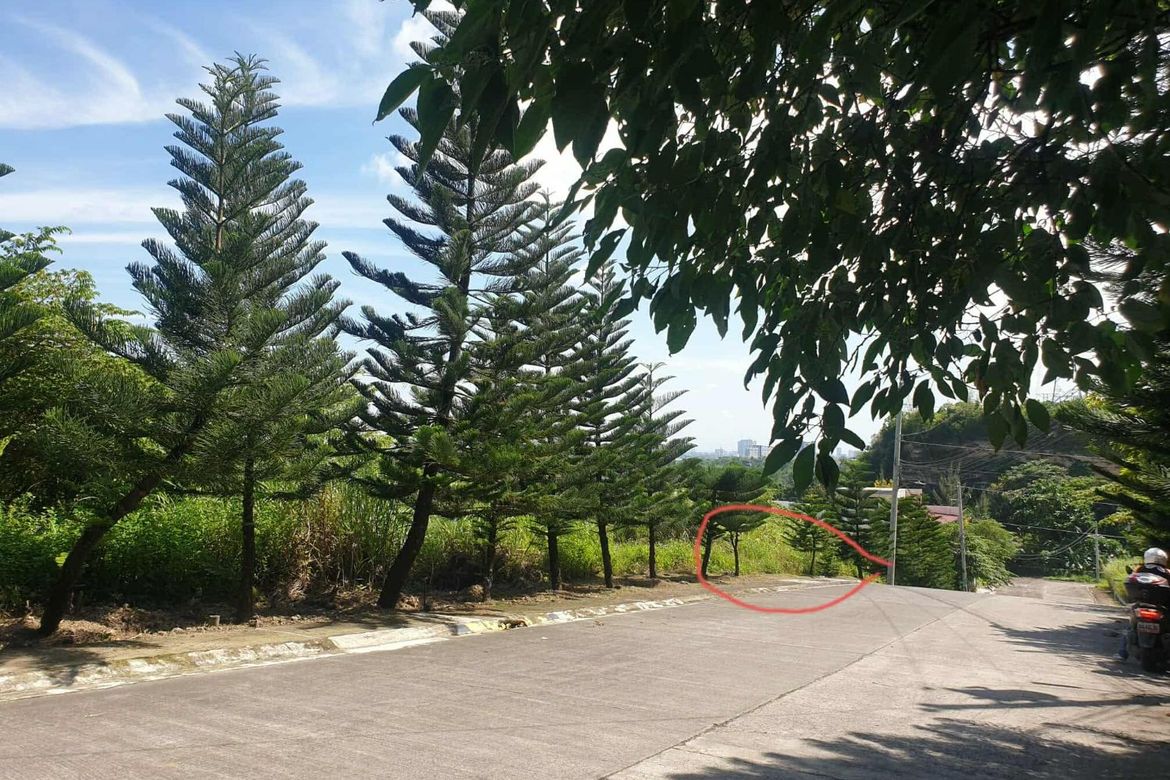 Land for Sale in Tawason, Mandaue, Cebu – photo 2