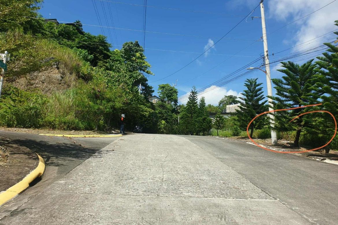 Land for Sale in Tawason, Mandaue, Cebu – photo 4