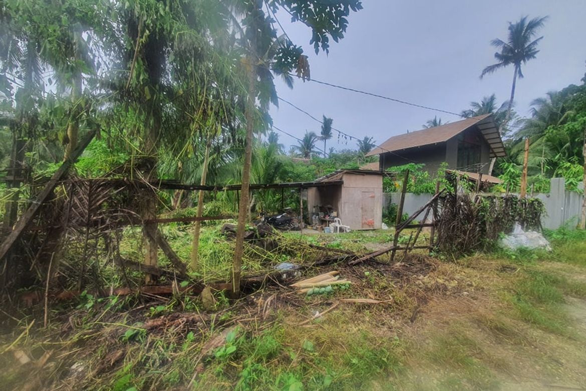 Land for Sale in Tawin-Tawin, General Luna, Surigao del Norte – photo 2
