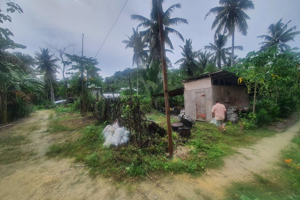 Land for Sale in Tawin-Tawin, General Luna, Surigao del Norte – photo 3