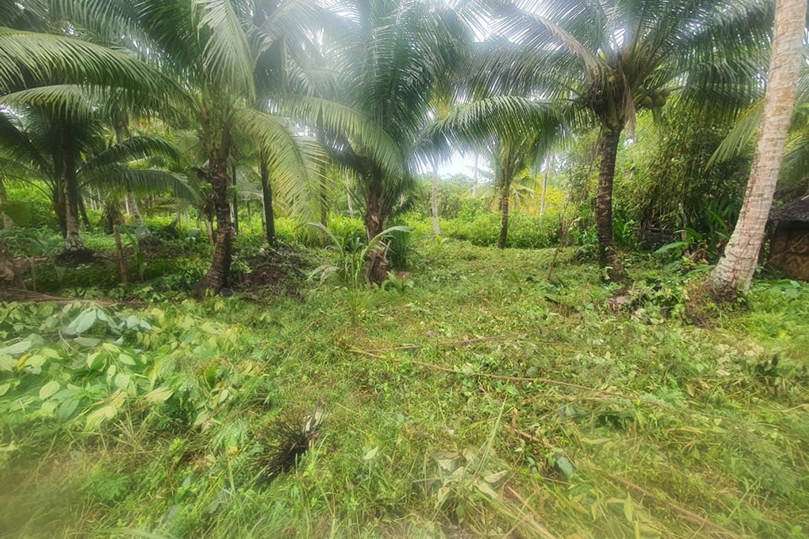 Land for Sale in Tawin-Tawin, General Luna, Surigao del Norte – photo 5