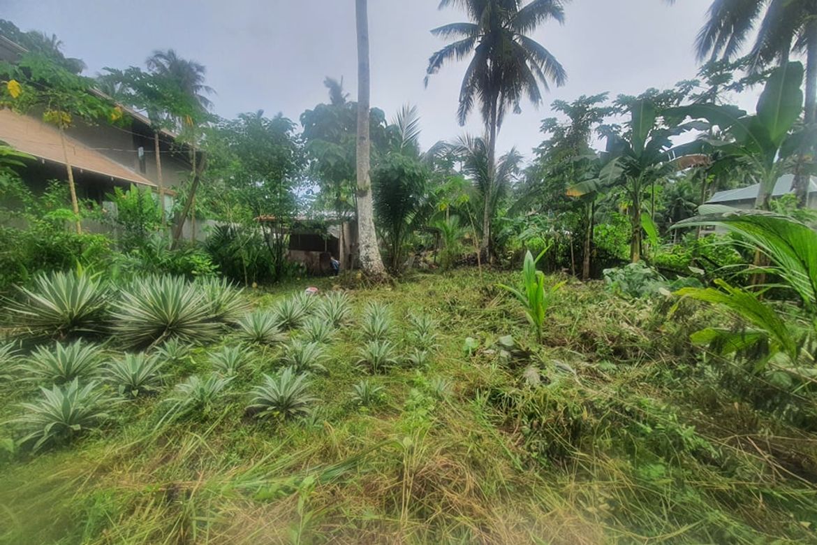 Land for Sale in Tawin-Tawin, General Luna, Surigao del Norte – photo 6