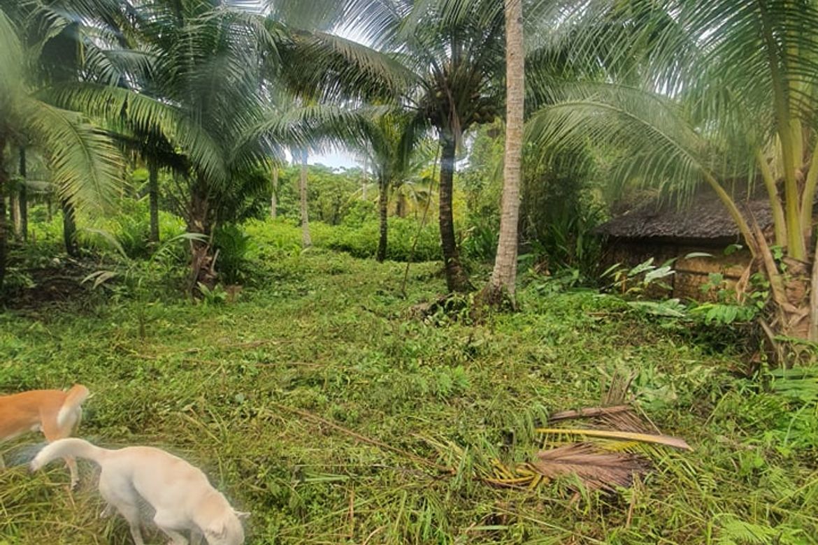 Land for Sale in Tawin-Tawin, General Luna, Surigao del Norte – photo 8