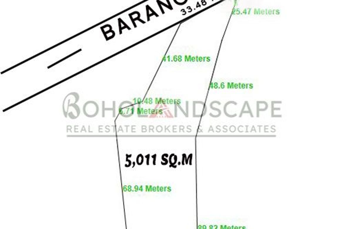 Land for Sale in Tayong Occidental, Loay, Bohol – photo 2