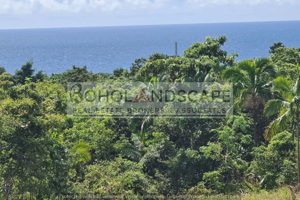 Land for Sale in Tayong Occidental, Loay, Bohol – photo 3