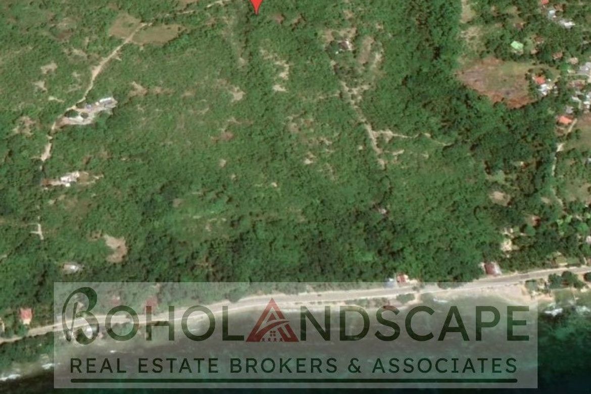 Land for Sale in Tayong Occidental, Loay, Bohol – photo 5