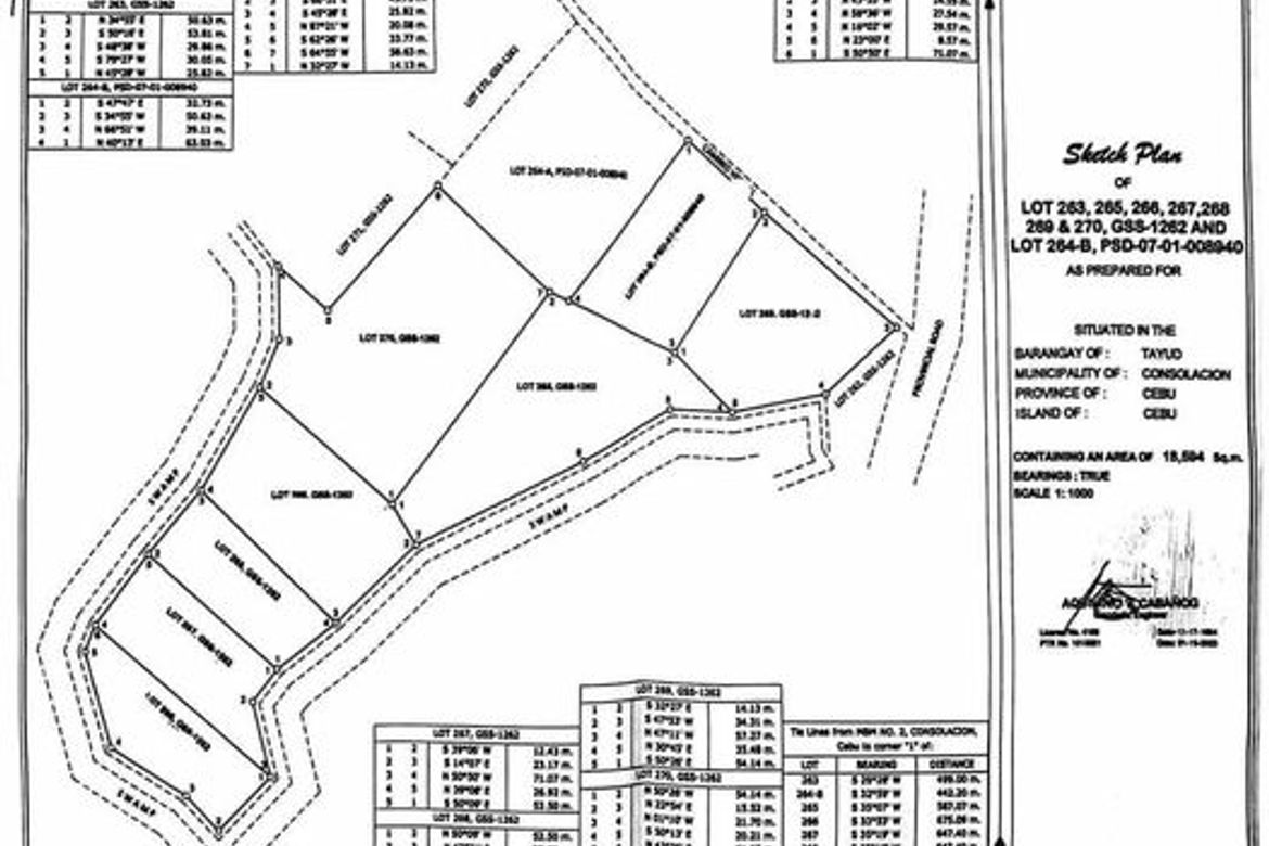 Land for Sale in Tayud, Consolacion, Cebu – photo 7