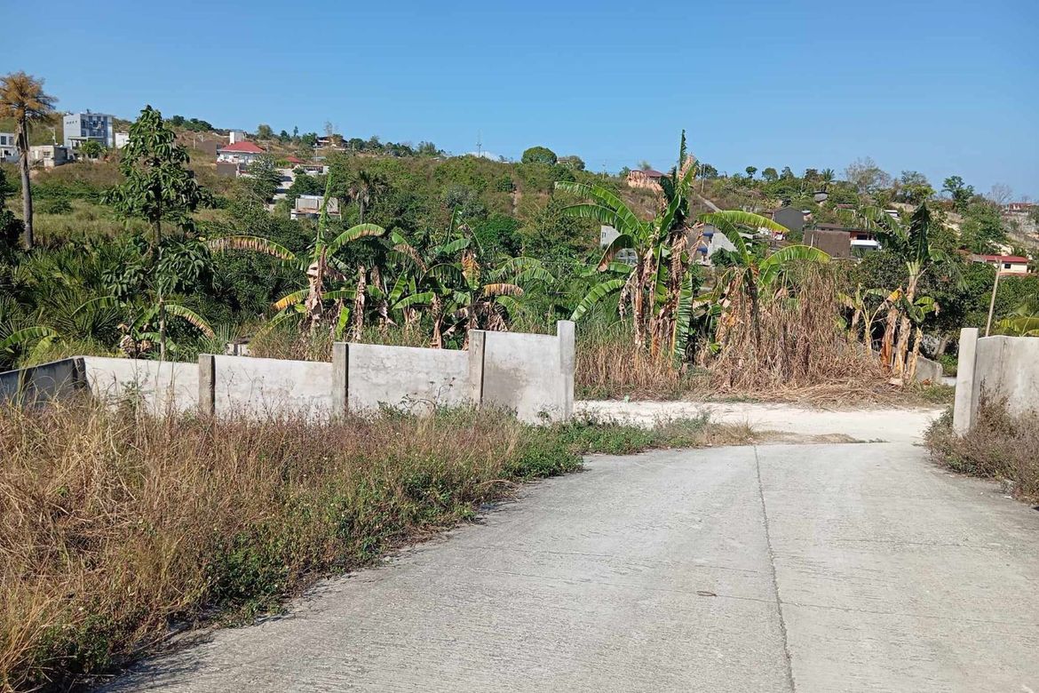 Land for Sale in Tayud, Consolacion, Cebu – photo 4