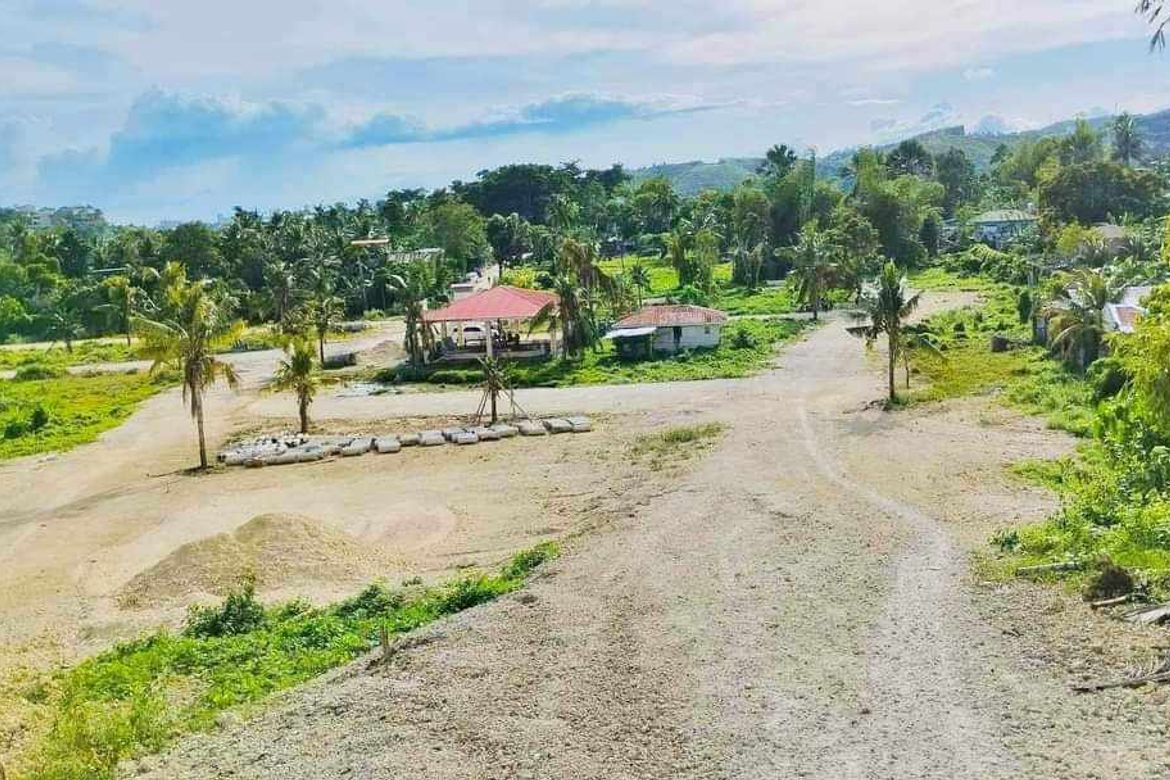 Land for Sale in Tayud, Consolacion, Cebu – photo 4
